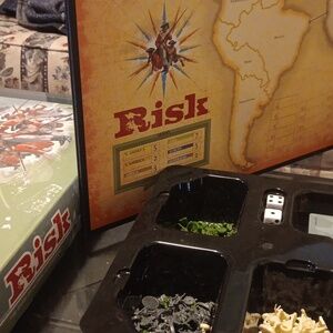 RISK BOARD GAME